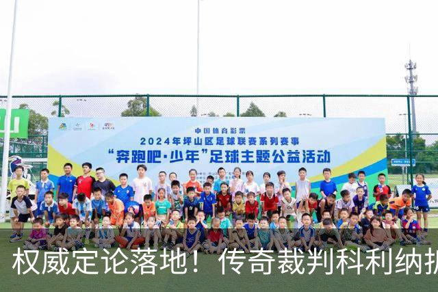 权威定论落地！传奇裁判科利纳拆解萨拉赫禁区争议：无防守犯规，球员假摔该领黄牌
