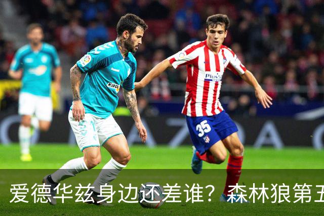 爱德华兹身边还差谁？森林狼第五位首发到底怎么选